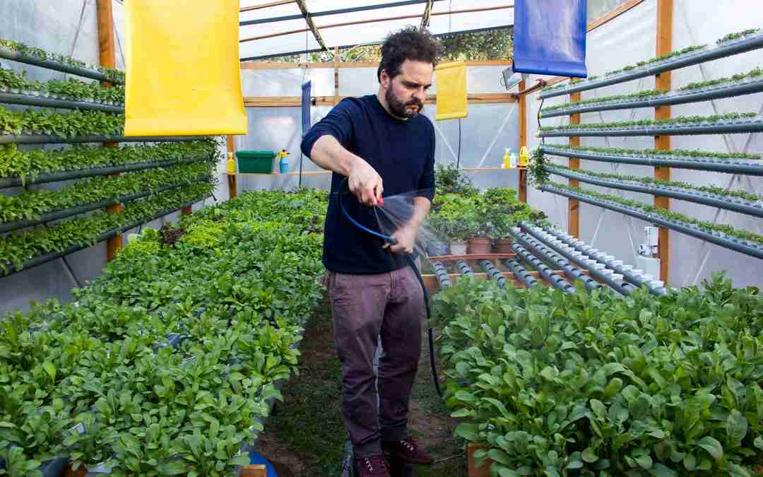 Poniio: escuela de hidroponia para una producción de alimentos sostenible