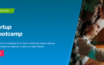 Bayer Startup Bootcamp busca startups con soluciones innovadoras para la industria farmacéutica