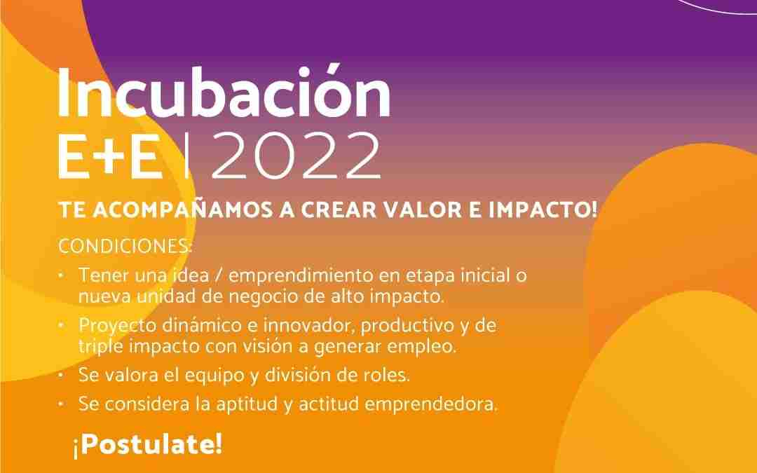 La Fundación E+E abrió su convocatoria para emprendedores