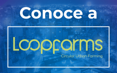 Fondo CCI. Conoce a Loopfarms, una granja urbana inteligente para reciclar y transformar los desechos orgánicos en superalimentos.